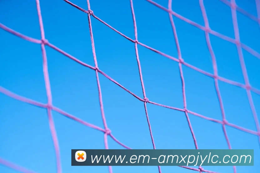 新葡京娱乐发展历程